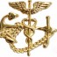 [Vanguard] U.S. Public Health Service PHS Collar Device: Anchor with Caduceus