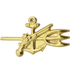 [Vanguard] Navy Collar Device: Special Warrant Officer - gold