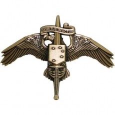 [Vanguard] Marine Corps Badge: MARSOC Bronze Marine Corps Forces Special Operations Command