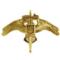 [Vanguard] Marine Corps Miniature Badge: MARSOC Marine Corps Forces Special Operations Command