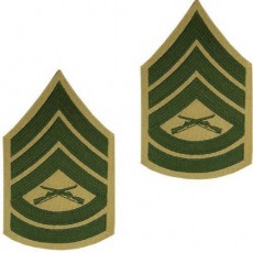 [Vanguard] Marine Corps Chevron: Gunnery Sergeant - green embroidered on khaki, male