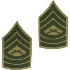 [Vanguard] Marine Corps Chevron: Master Sergeant - green embroidered on khaki, male