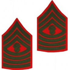 [Vanguard] Marine Corps Chevron: Master Gunnery Sergeant - green on red for male