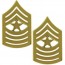 [Vanguard] Marine Corps Chevron: Sergeant Major - satin gold