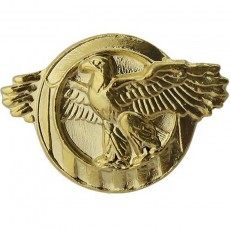 [Vanguard] Lapel Pin: WWII Honorable Discharge (Ruptured Duck) - satin gold