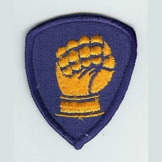 WWII US ARMY 46th Infantry Division Patch / 2차세계대전 미육군 제46보병사단 패치