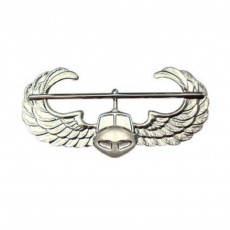 [Vanguard] Army Badge: Air Assault - mirror finish / 미육군 공중강습 유광 배지