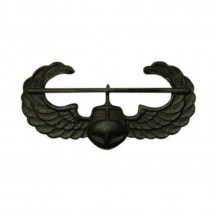 [Vanguard] Army Badge: Air Assault - black metal / 미육군 공중강습 검정 배지
