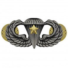 [Vanguard] Army Badge: Combat Parachute Fifth Award - silver oxidized / 미육군 낙하산(공수) 무광 배지
