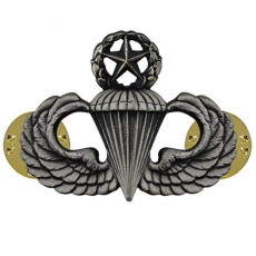 [Vanguard] Army Badge: Master Parachute - silver oxidized / 미육군 낙하산(공수) 무광 배지