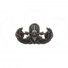[Vanguard] Badge: Senior Explosive Ordnance Disposal - Miniature, Oxidized / 폭발물 처리반 무광 미니어쳐 배지