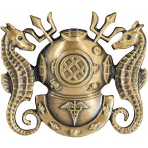 Vanguard 미해군 Diving Medical Officer 흉장 미니어처 무광