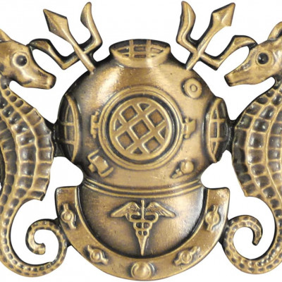 Vanguard 미해군 Diving Medical Officer 흉장 미니어처 무광