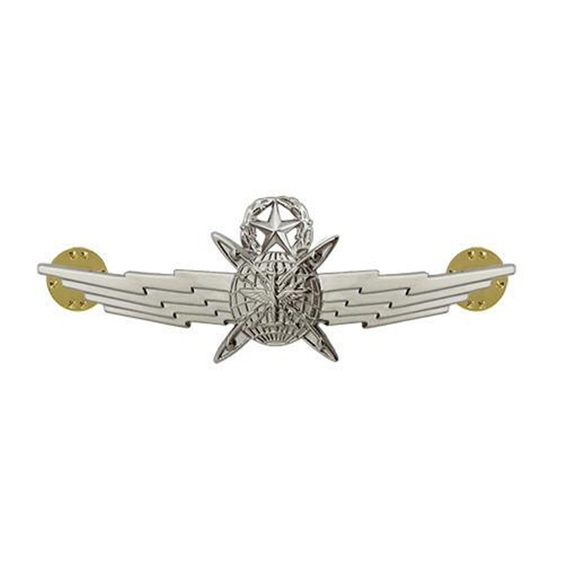 [Vanguard] Air Force Badge: Cyberspace Operator: Master - miniature