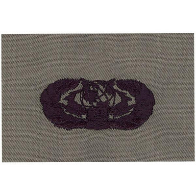 [Vanguard] Air Force Embroidered Badge: Cyberspace Support