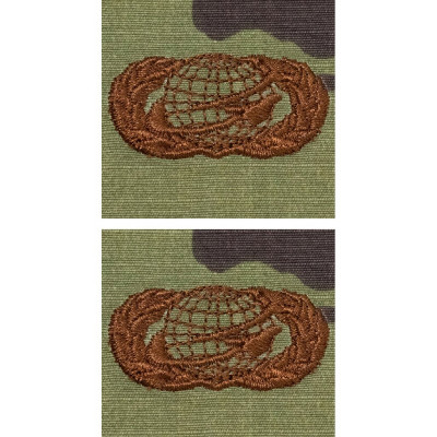 [Vanguard] Air Force Embroidered Badge: Manpower - OCP