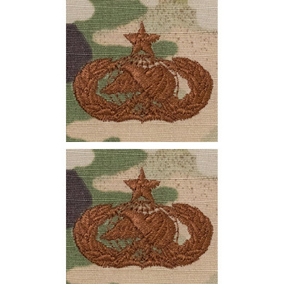 [Vanguard] Air Force Embroidered Badge: Logistics: Senior - embroidered on OCP