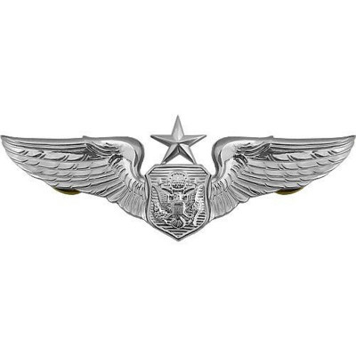 [Vanguard] Air Force Badge: Officer Aircrew: Senior - regulation size