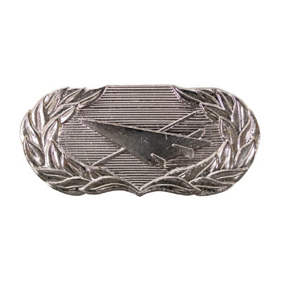[Vanguard] Air Force Badge: Historian - regulation size