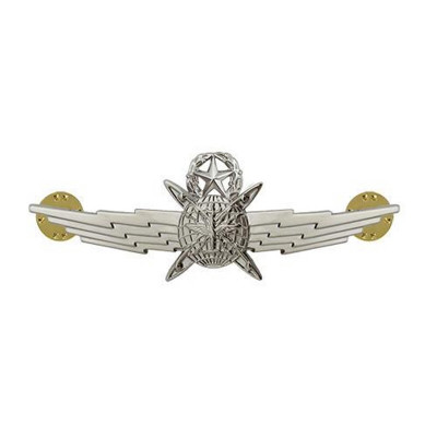 [Vanguard] Air Force Badge: Cyberspace Operator: Master - miniature