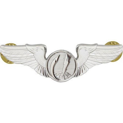 [Vanguard] Air Force Badge: Remotely Piloted Aircraft Sensor - Midsize