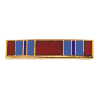 [Vanguard] Air Force Lapel Pin: Combat Readiness
