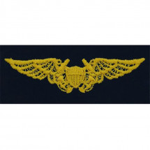 [Vanguard] Coast Guard Embroidered Badge: Flight Officer - Ripstop fabric