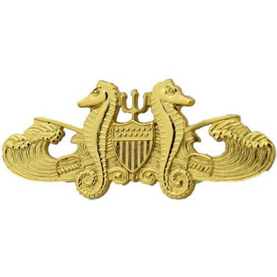 [Vanguard] Coast Guard Badge: Officer Port Security - regulation size