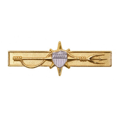 [Vanguard] Coast Guard Badge: Marine Safety Officer - miniature