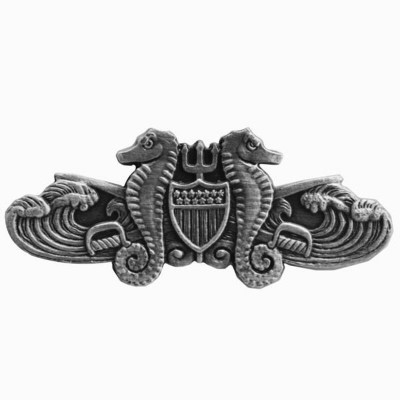 [Vanguard] Coast Guard Badge: Enlisted Port Security - miniature
