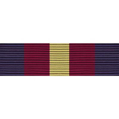 [Vanguard] Ribbon Unit #4030: Young Marine's Honor Recruit | 약장