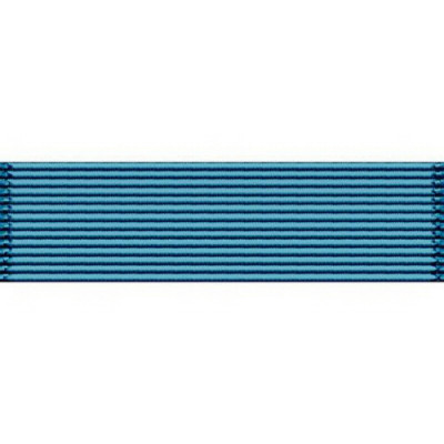 [Vanguard] Ribbon Unit #3000 | 약장