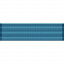 [Vanguard] Ribbon Unit #3000 | 약장
