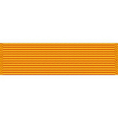 [Vanguard] Ribbon Unit #3002 | 약장