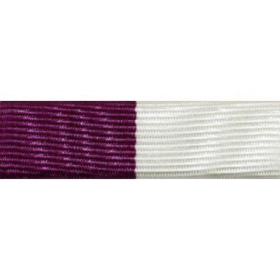 [Vanguard] Ribbon Unit #3101 | 약장