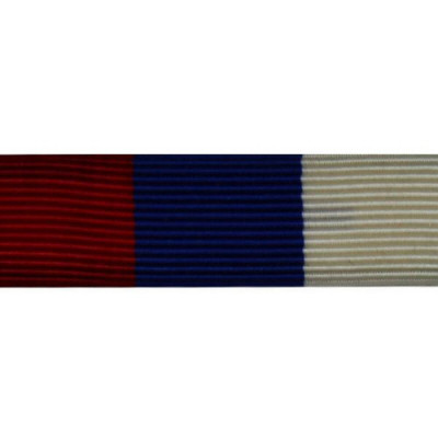 [Vanguard] Ribbon Unit #3301 | 약장
