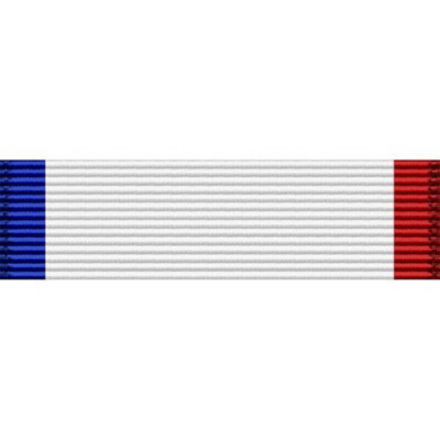 [Vanguard] Ribbon Unit #3500 | 약장