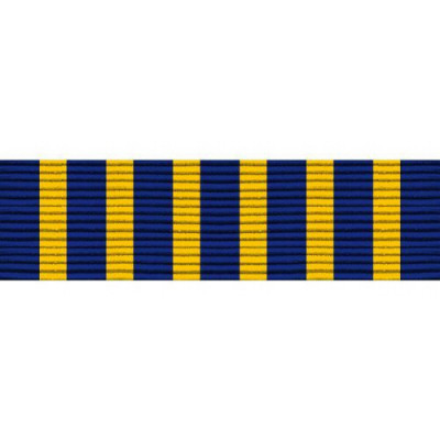 [Vanguard] Ribbon Unit #3613 National Sojourners Award | 약장