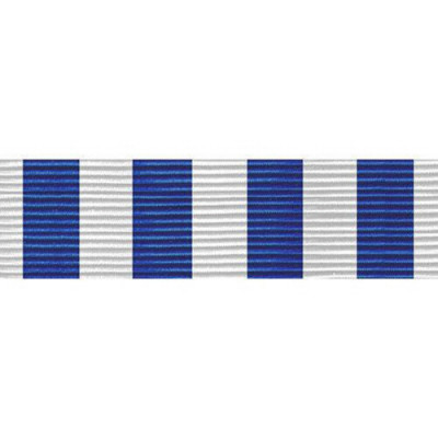 [Vanguard] Ribbon Unit #3614: California National Guard Drill Attendance | 약장