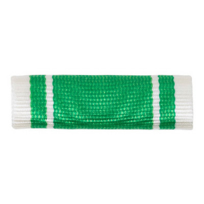 [Vanguard] Ribbon Unit #3622: California National Guard Enlisted Trainer Excellence | 약장