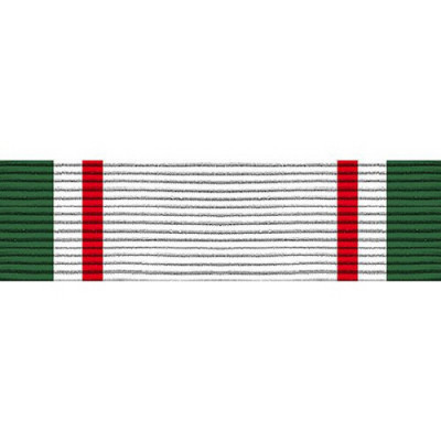 [Vanguard] Ribbon Unit #4003: Young Marine's Academic Achievement | 약장