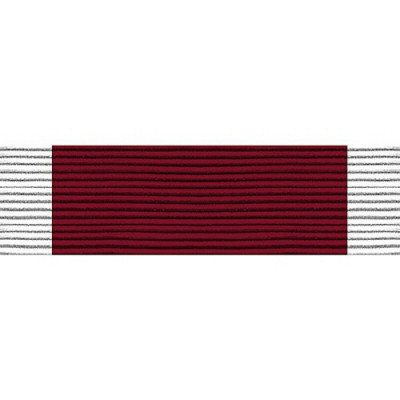 [Vanguard] Ribbon Unit #7119: Young Marine's Lifesaving Third Degree | 약장