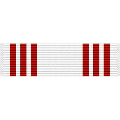 [Vanguard] Ribbon Unit Minnesota Distinguished Recruiter | 약장