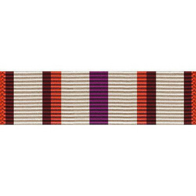 [Vanguard] Ribbon Unit: Department of Transportation: Outstanding Achievement | 약장