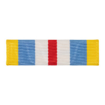 [Vanguard] Ribbon Unit: Defense - Superior Service | 약장