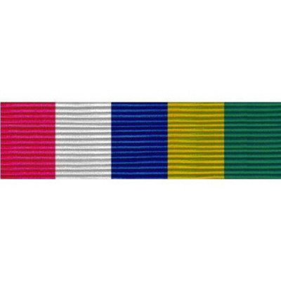 [Vanguard] Ribbon Unit: Inter American Defense Board | 약장