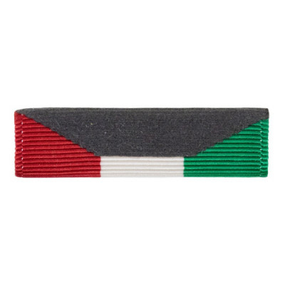 [Vanguard] Ribbon Unit: Kuwait Liberation Government of Kuwait number 466 | 약장
