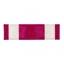 [Vanguard] Ribbon Unit: Meritorious Service | 약장