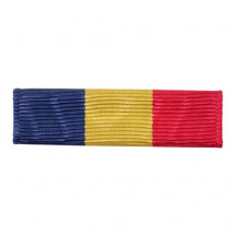 [Vanguard] Ribbon Unit: Navy and Marine Corps | 약장