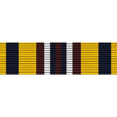 [Vanguard] PHS Ribbon Unit - Recruitment Service | 약장